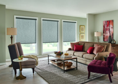 Roller Shades with Motorized Lift